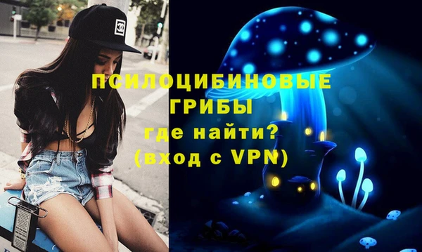 тгк Аркадак